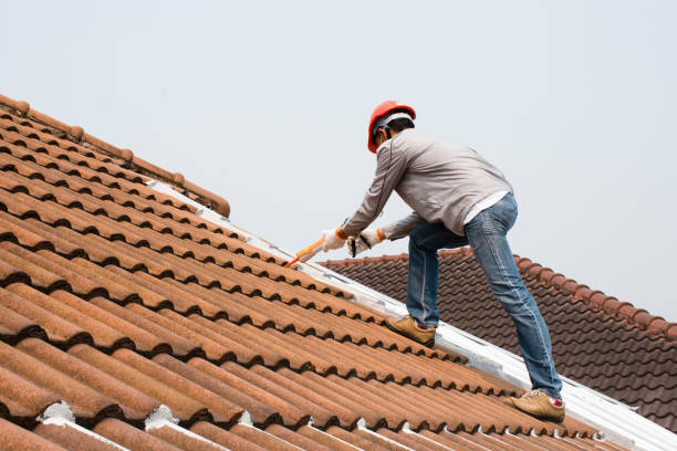Best 4 Ply Roofing  in Rowlett, TX