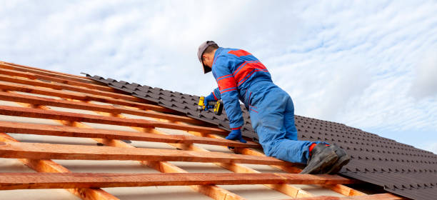 Best Asphalt Shingles Roofing  in Rowlett, TX